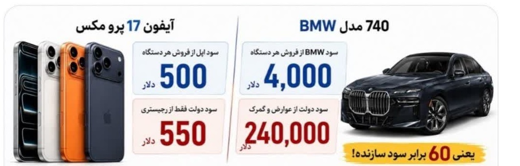 سود دولت