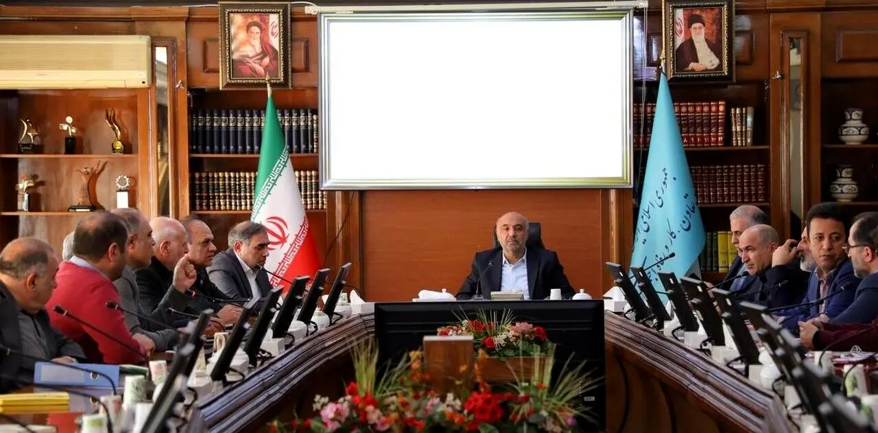 میدری: ثبات قیمت، برنامه مشترک دولت و بخش خصوصی است