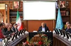 میدری: ثبات قیمت، برنامه مشترک دولت و بخش خصوصی است