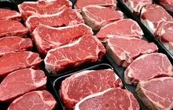 مردم توان خرید گوشت قرمز با قیمت فعلی را ندارند