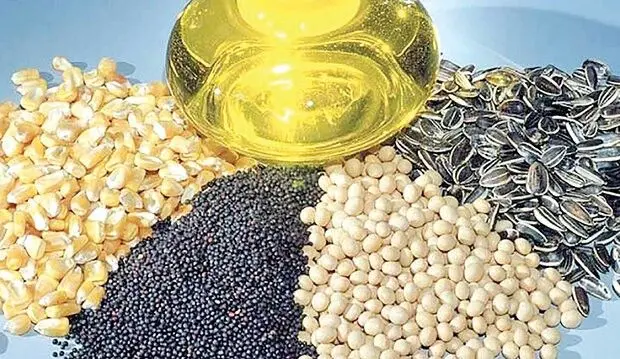 لازم است ارز ترجیحی مستقیما به تولیدکنندگان کلزا و دانه‌های روغنی واگذار شود