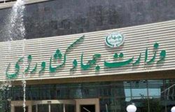 اختصاصی/غیب‌گویی‌های مسئولین وزارت کشاورزی از کاهش قیمت برنج 350 هزار تومانی!