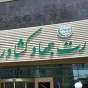 اختصاصی/غیب‌گویی‌های مسئولین وزارت کشاورزی درباره کاهش قیمت برنج 350 هزار تومانی!