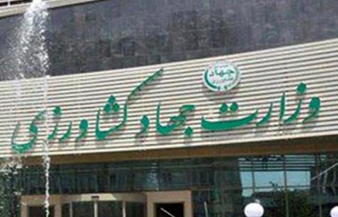 اختصاصی/غیبگوییهای مسئولین وزارت کشاورزی از کاهش قیمت برنج 350 هزار تومانی!