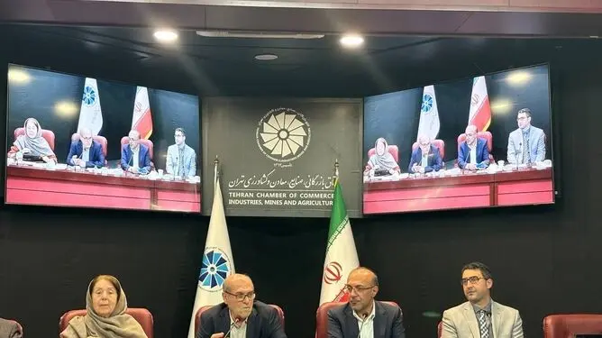 قیمت‌گذاری دستوری و بروکراسی، مسیر رشد پایدار اقتصاد را سد کرده است