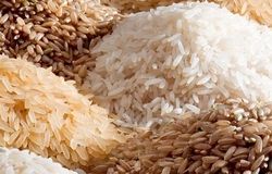 سود دلالان از سفره مردم/ برنج ارزان جهانی در ایران گران‌تر شد