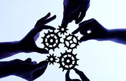 تعاونی‌ها در جذب نسل Z عقب مانده‌اند/نوآوری و شفافیت راه نجات