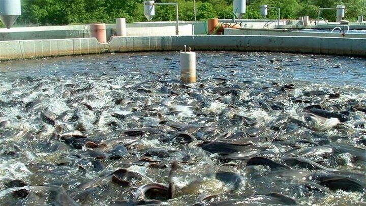 شتاب به سوی اقتصاد دریامحور؛ توسعه شهرک‌های شیلاتی در جنوب کشور کلید خورد