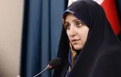  افزایش ۵۸ درصدی تخصیص در سال گذشته/ هشدار درباره آسیب مشاغل خانگی از محدودیت اینترنت