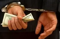 ۲۷۱ اخلال‌گر ارزی با ۳۰۰ همت تراکنش مشکوک به مراجع قضایی معرفی شدند