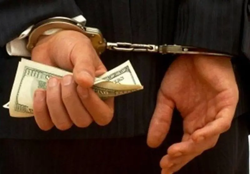 ۲۷۱ اخلال‌گر ارزی با ۳۰۰ همت تراکنش مشکوک به مراجع قضایی معرفی شدند