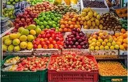 بازار تشنه میوه ایرانی؛ صادرات پایدار در گرو برندسازی و زنجیره سرد