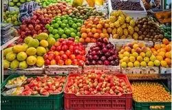 بازار تشنه میوه ایرانی؛ صادرات پایدار در گرو برندسازی و زنجیره سرد
