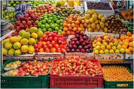 بازار تشنه میوه ایرانی؛ صادرات پایدار در گرو برندسازی و زنجیره سرد
