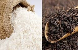 ۱۲ میلیون دلار چای در بندر رجایی سوخت/«نابسامانی» نقطه مشترک بازار چای و برنج