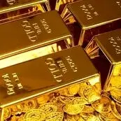 انتقاد عضو کمیسیون اقتصادی مجلس از فروش طلا توسط بانک مرکزی/این سیاست ضدتورمی نیست