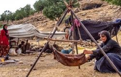 زنان عشایر؛ ستون‌های پنهان اقتصاد و فرهنگ ایران/ سهم ناچیز ایران از بازار صنایع دستی جهانی