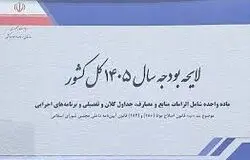  3 منبع جدید پرداخت یارانه در لایحه بودجه 1405