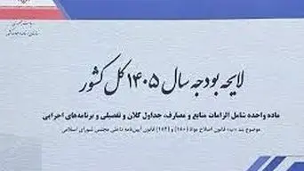  3 منبع جدید پرداخت یارانه در لایحه بودجه 1405