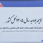  3 منبع جدید پرداخت یارانه در لایحه بودجه 1405