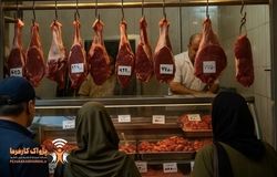 گوشت قرمز در مرز حذف از سفره ایرانی‌ها/دغدغه دولت در امنیت غذایی باید در رفتار بازار دیده شود نه در بیانیه‌ها 