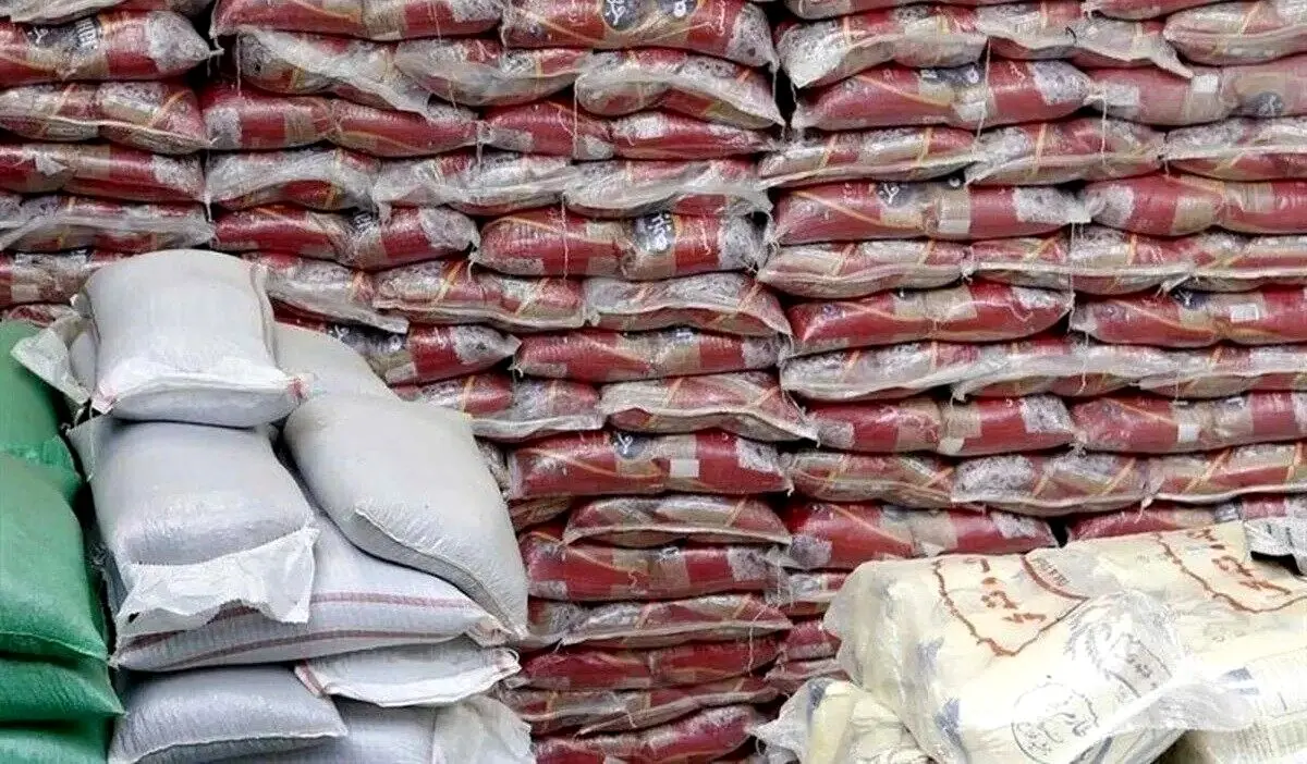 چراغ سبز دولت به واردات برنج در اوج برداشت داخلی