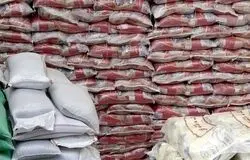 چراغ سبز دولت به واردات برنج در اوج برداشت داخلی