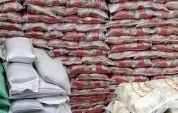 چراغ سبز دولت به واردات برنج در اوج برداشت داخلی