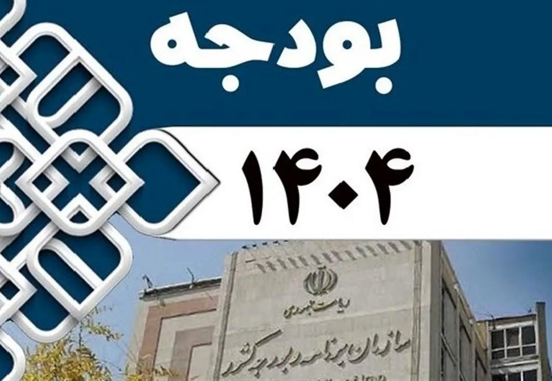 تنها ۲۹ درصد بودجه ۱۴۰۴ منطبق با برنامه هفتم اجرایی شد