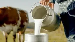 زنگ خطر افت سرانه مصرف لبنیات؛ کالابرگ هم نتوانست خرید شیر را بالا ببرد