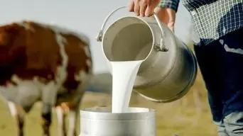 زنگ خطر افت سرانه مصرف لبنیات؛ کالابرگ هم نتوانست خرید شیر را بالا ببرد