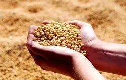 افزایش سرمایه بانک کشاورزی/ظرفیت چند برابری پرداخت تسهیلات برای تولیدکنندگان