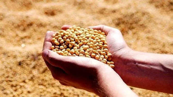افزایش سرمایه بانک کشاورزی/ظرفیت چند برابری پرداخت تسهیلات برای تولیدکنندگان