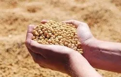 افزایش سرمایه بانک کشاورزی/ظرفیت چند برابری پرداخت تسهیلات برای تولیدکنندگان