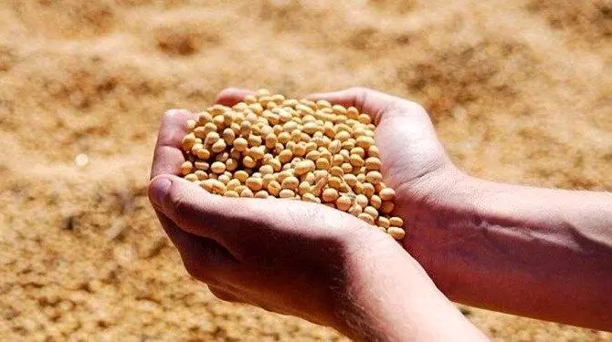 افزایش سرمایه بانک کشاورزی/ظرفیت چند برابری پرداخت تسهیلات برای تولیدکنندگان