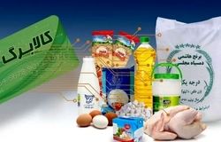  دولت در اجرای کالابرگ کوتاهی نکند/ تأمین اعتبار همچنان چالش اصلی است