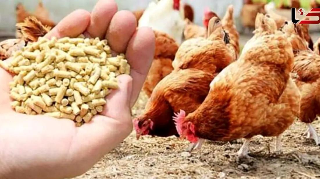 اخذ مجوز واردات ۵.۵ میلیون تن نهاده‌های دامی از ستاد تنظیم بازار 