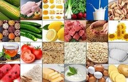 صنایع غذایی ایران توان رقابت جهانی دارند