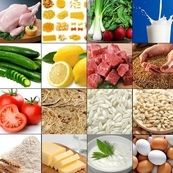 صنایع غذایی ایران توان رقابت جهانی دارند