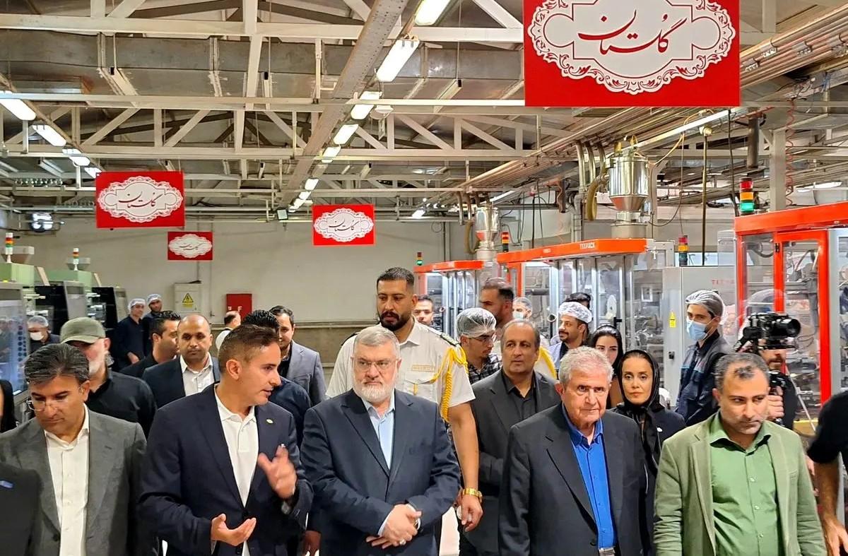 بازدید استاندار تهران از شرکت گلستان با محور حمایت از تولید و رفع موانع ارزی