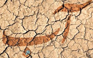 آبفا با پمپ و منبع، مصرف آب را افزایش داد!