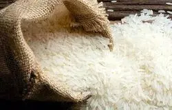 مخاطره جدی برای امنیت غذایی با واردات دیرهنگام برنج