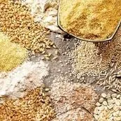 پرونده «پشت‌فاکتوری»/سامانه بازارگاه زیر ذره‌بین نظارت هوشمند