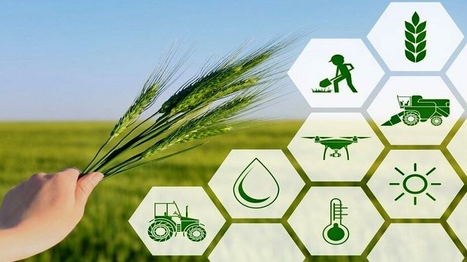 بازطراحی ساختار سازمان تات؛ سند نهایی به شورای اداری رفت