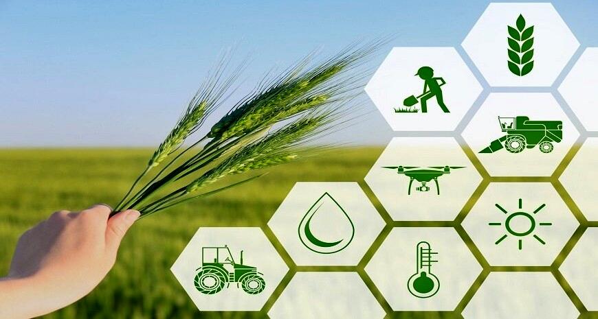 بازطراحی ساختار سازمان تات؛ سند نهایی به شورای اداری رفت