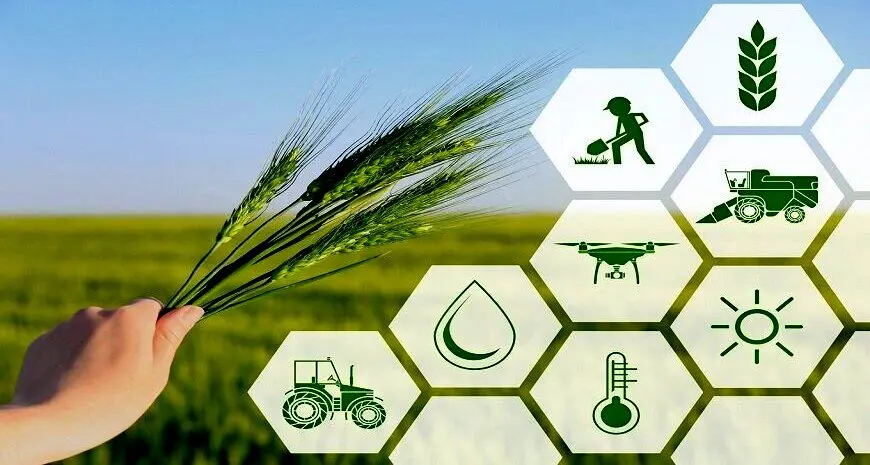 بازطراحی ساختار سازمان تات؛ سند نهایی به شورای اداری رفت