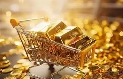 بازار پرهیاهوی طلا زیر ذره‌بین بانک مرکزی؛ ۵۰۰ پلتفرم پشت خط اجرای قانون