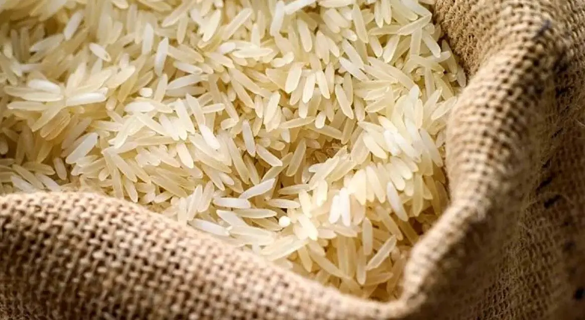 افزایش قیمت فقط در نوع کیفی برنج پاکستانی / واردات سوپر باسماتی برای تنظیم بازار آغاز شد