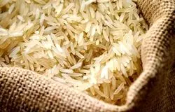 افزایش قیمت فقط در نوع کیفی برنج پاکستانی / واردات سوپر باسماتی برای تنظیم بازار آغاز شد