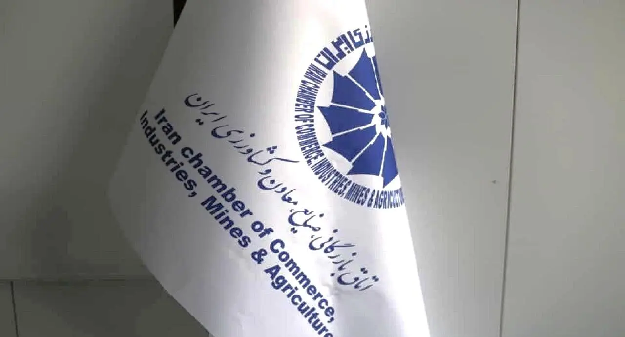 بدهکاران ارزی در مهلت قانونی/ فهرست منتشرشده ناصحیح است